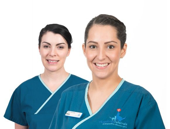 World-Class Veterinary Specialists for Small Animals - Fitzpatrick Referrals