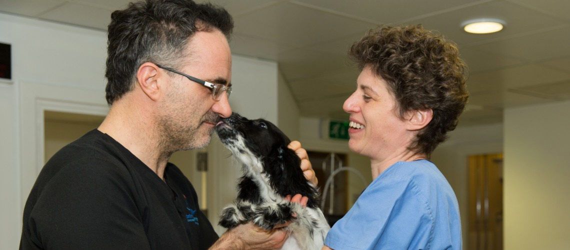 Neurology Service Fitzpatrick Referrals