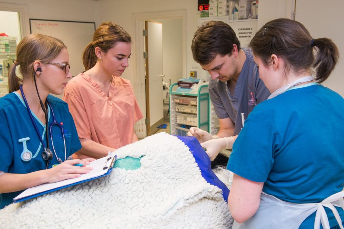 Intern working with an anaesthetised patient