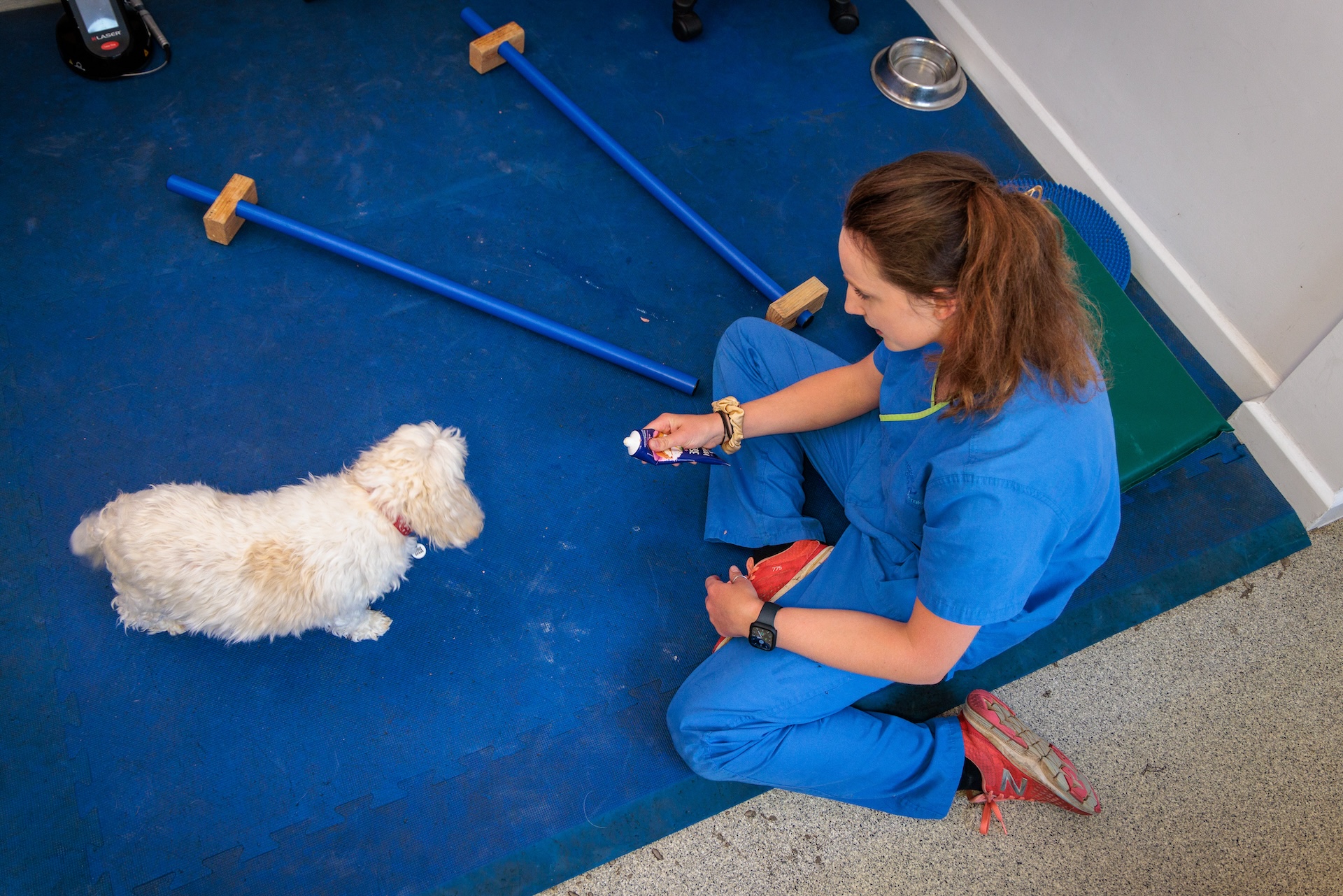 Physiotherapy at Fitzpatrick Referrals