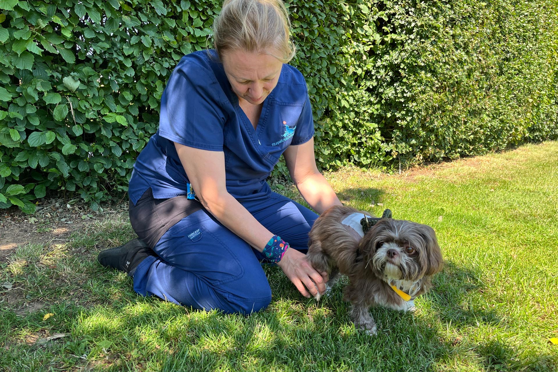 Chartered Physiotherapist sitting on grass carrying out physiotherapy on a small dog
