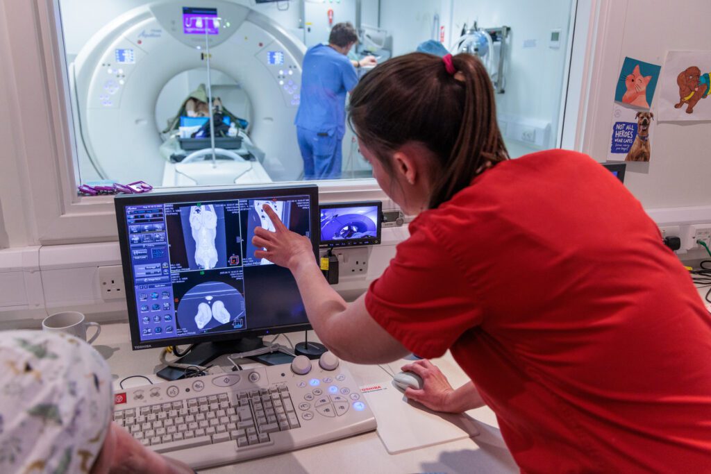 Radiographer looking at computer's image of a CT scan