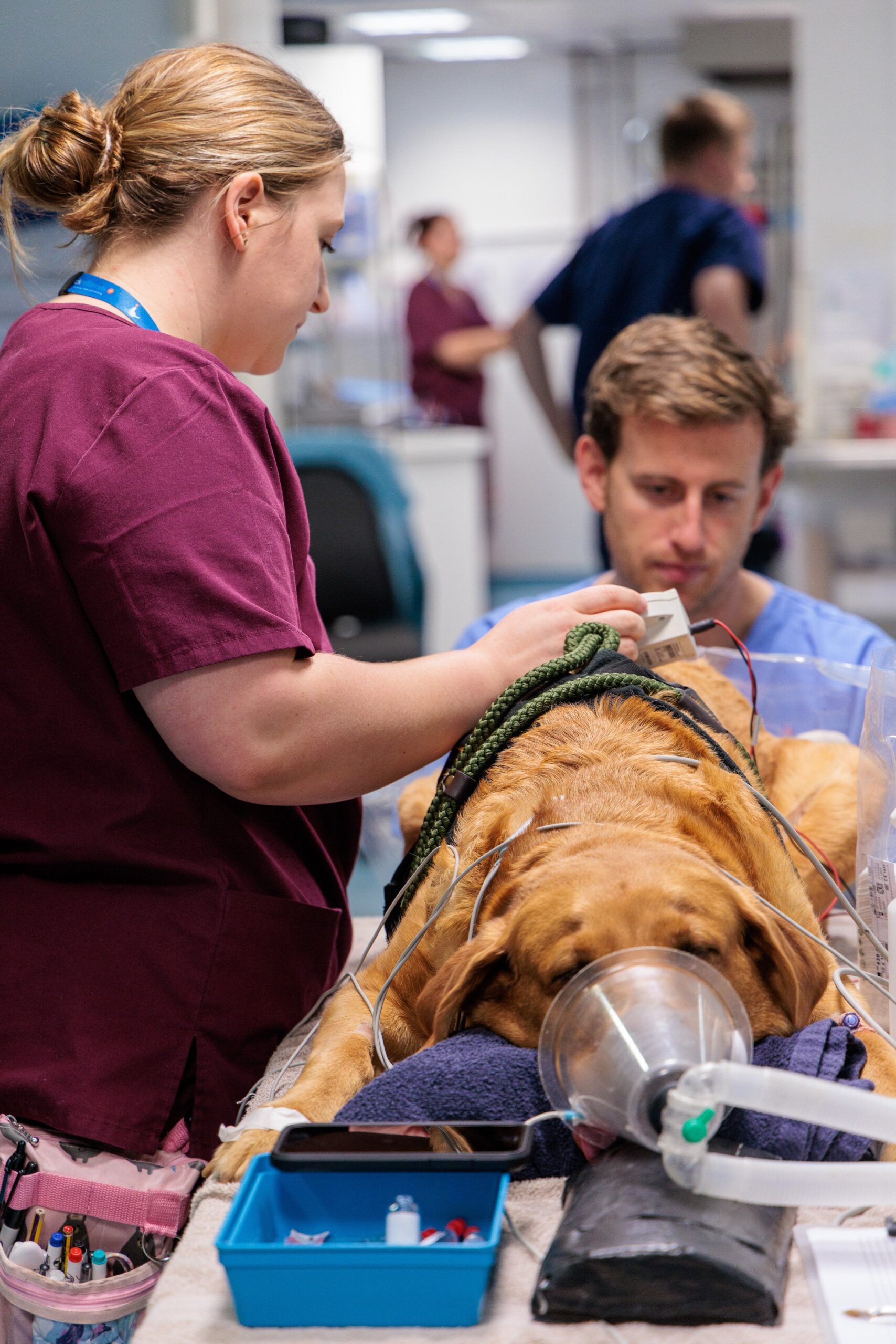 Fitzpatrick Referrals Neurology Service team in action