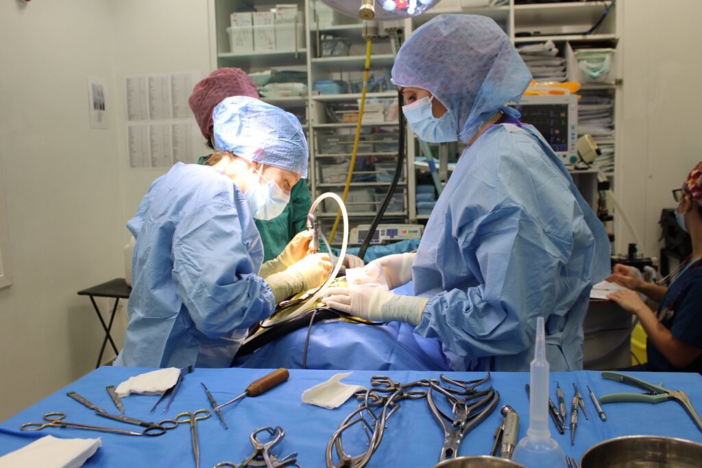Fitzpatrick Referrals Neurology Service team in action