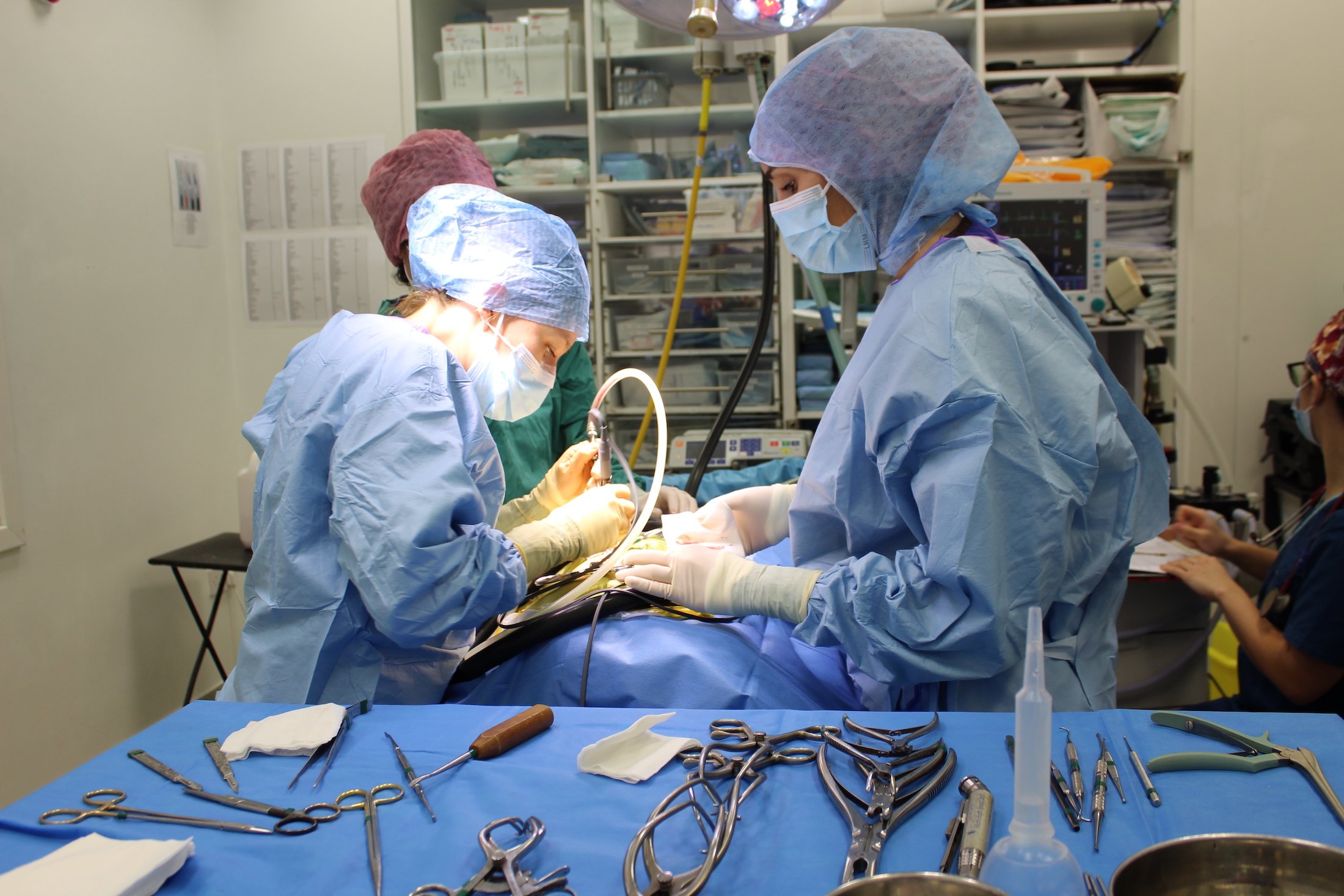 Fitzpatrick Referrals Neurology Service team in action