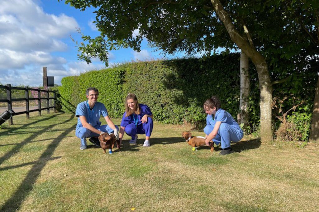 Fitzpatrick Referrals neurologists outside in the garden with two Dachshund patients