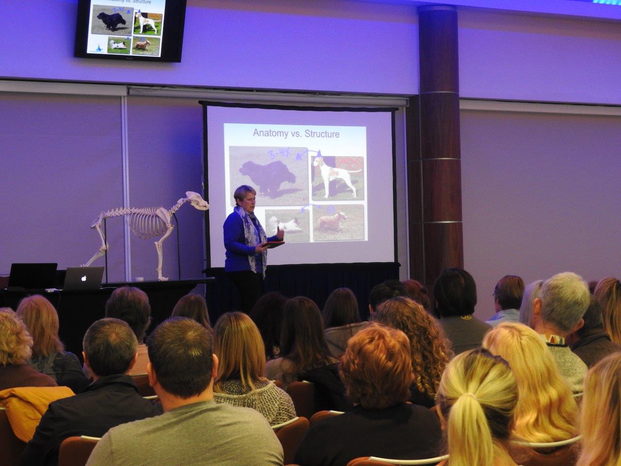 Dr Chris Zink