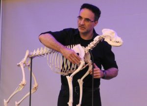 Professor Noel Fitzpatrick