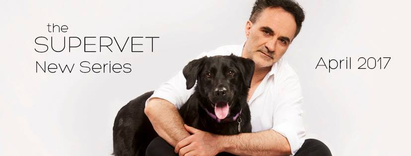 The Supervet Professor Noel Fitzpatrick