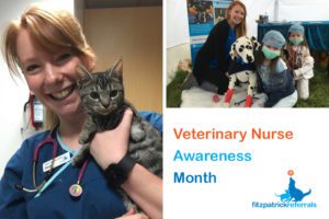 Senior Veterinary Nurse Sarah King