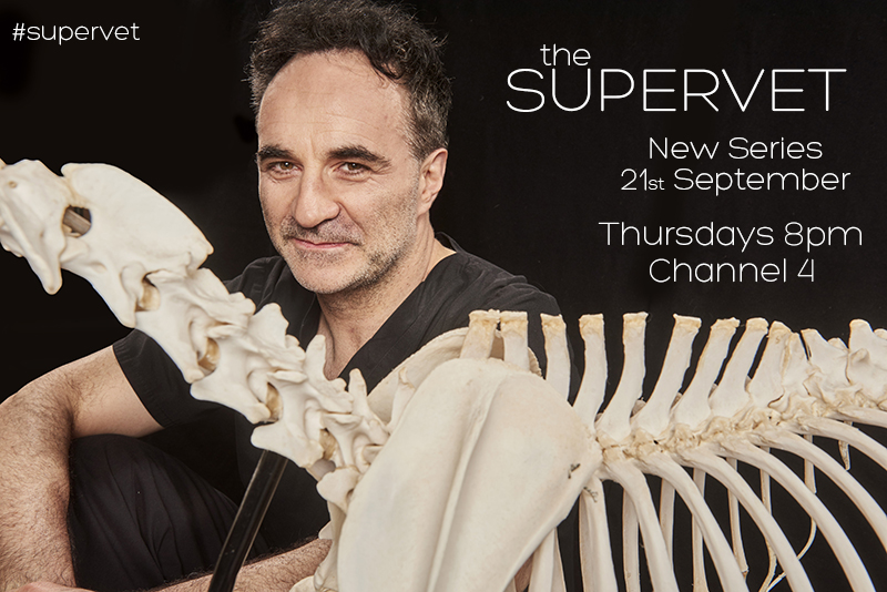 Supervet Series 10 announcement