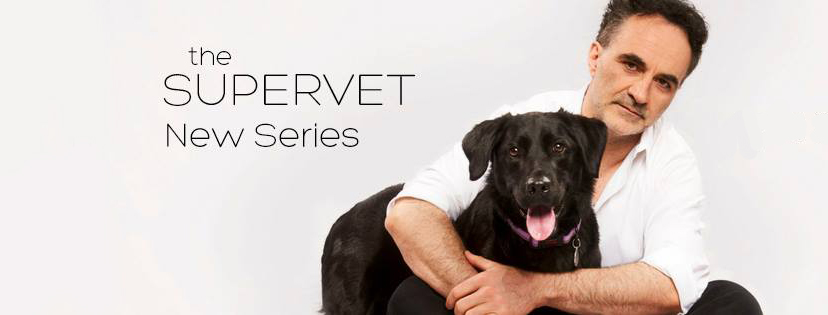 The Supervet announcement 2018 series 11 Fitzpatrick Referrals
