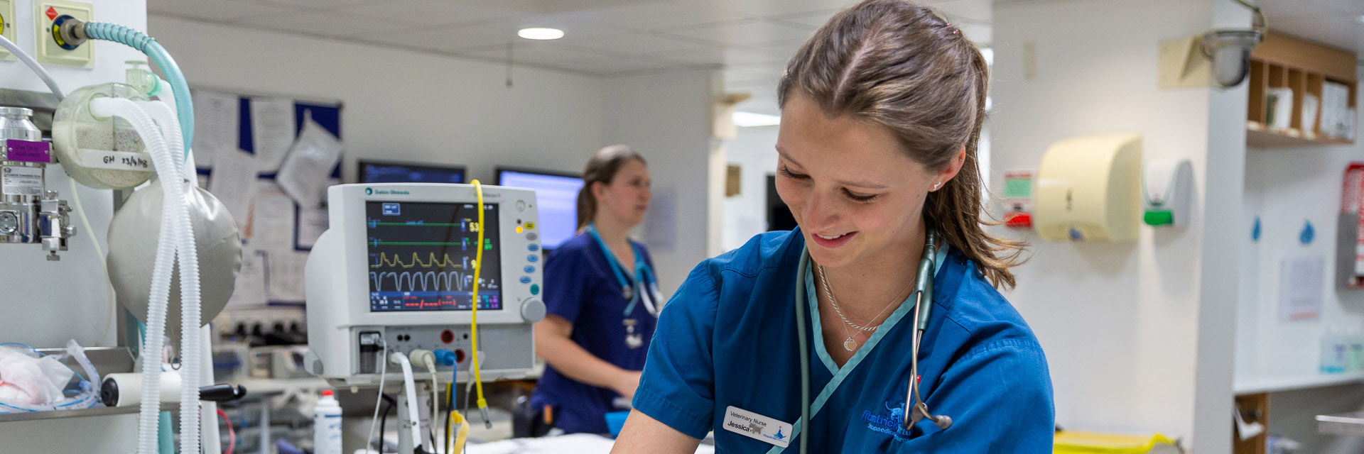 Registered Veterinary Nurse at Fitzpatrick Referrals Orthopaedics and Neurology