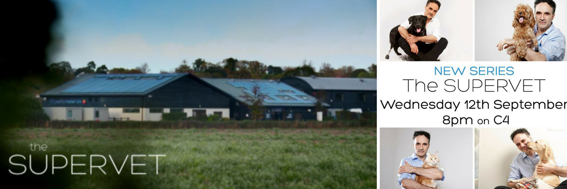 Series 12 of The Supervet returns in September