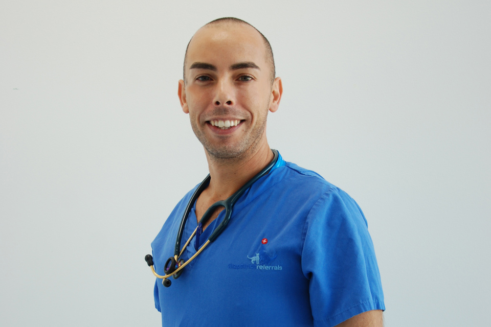Enzo Minghella Specialist in Veterinary Anaesthesia at Fitzpatrick Referrals