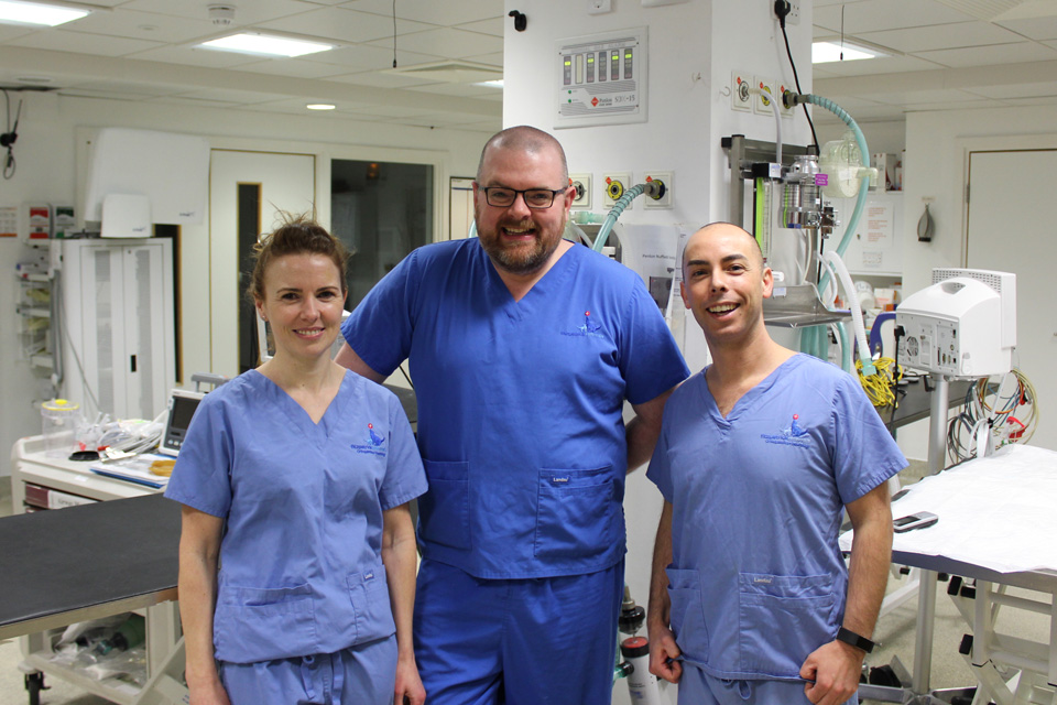 Newly qualified specialists Susan Murphy, Padraig Egan and Enzo Minghella at Fitzpatrick Referrals
