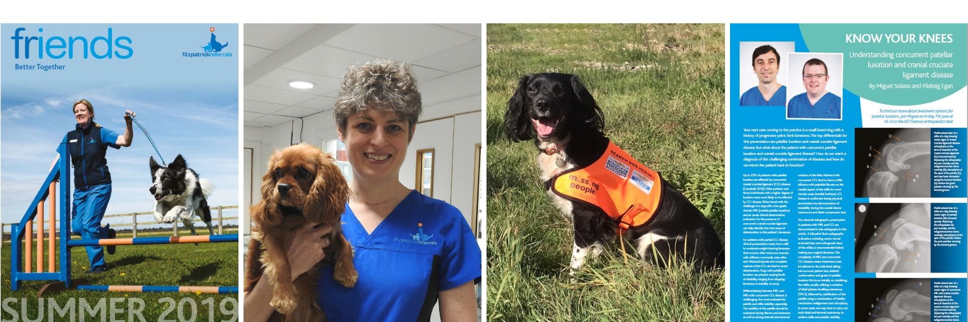 Friends newsletter summer 2019