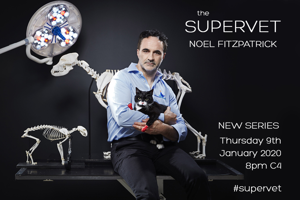 The Supervet Noel Fitzpatrick with cat - series 15 announcement