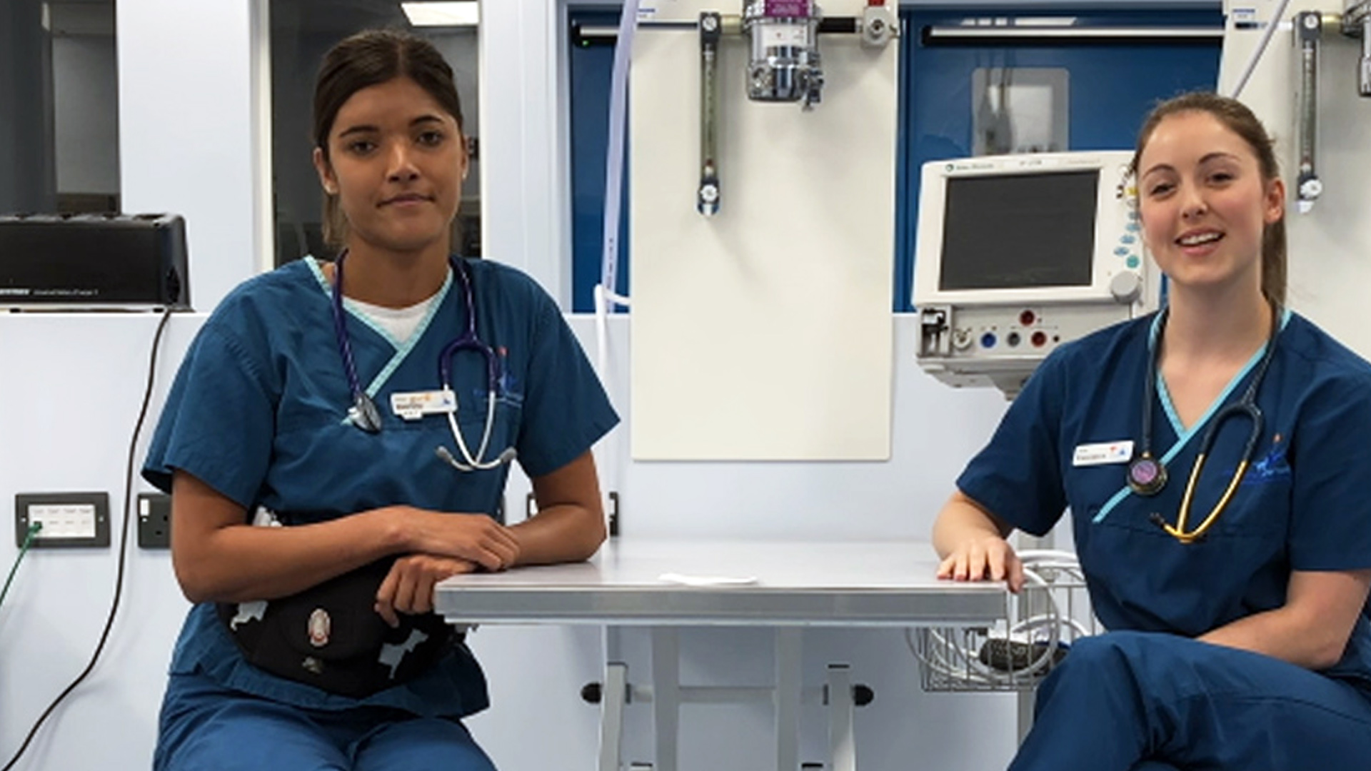 Ward Veterinary Nurses Eashing