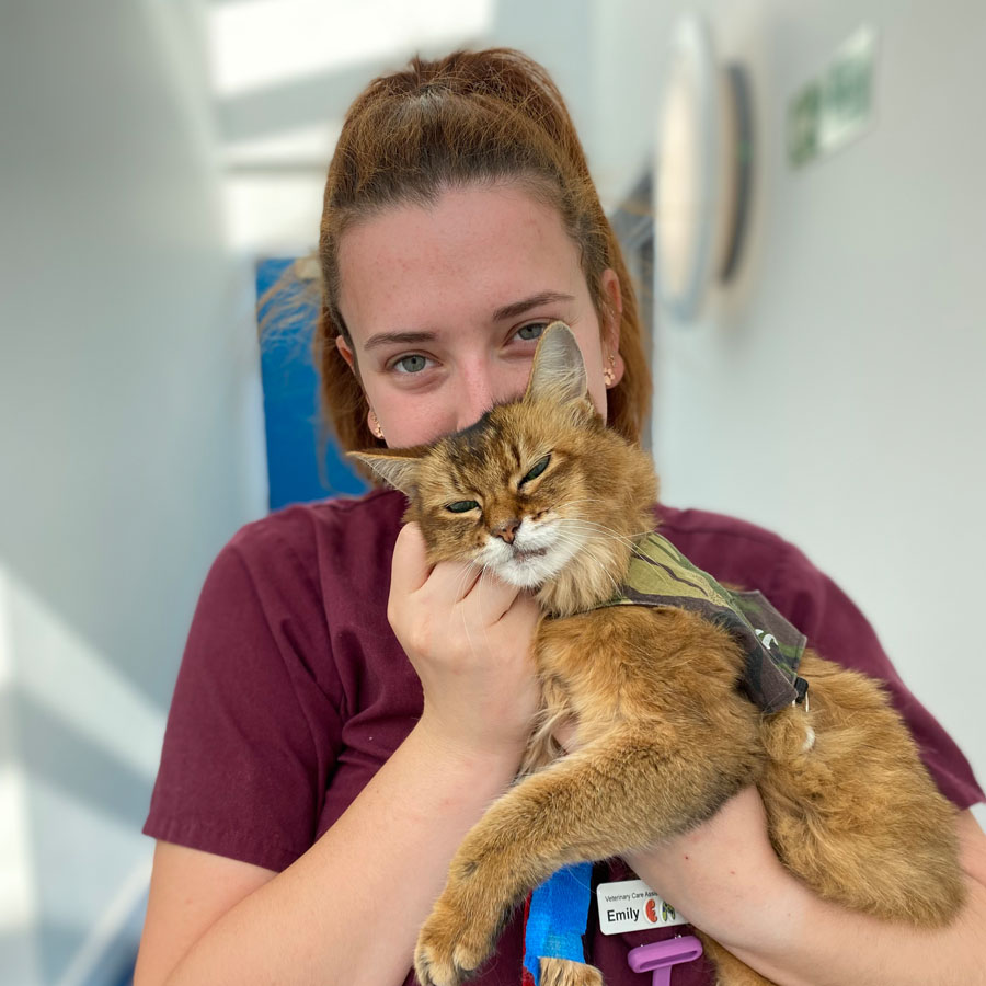 Jack's middle / inner ear infection Fitzpatrick Referrals