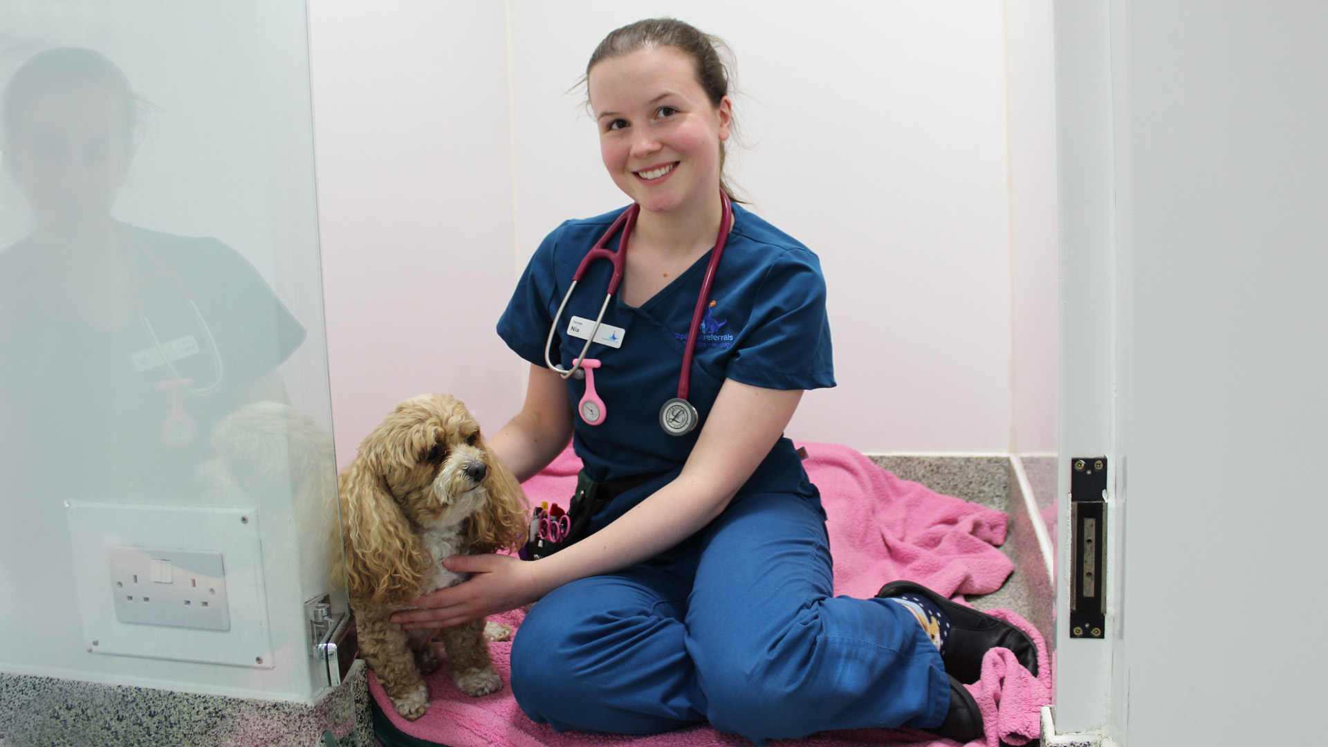 Veterinary nurse sitting in kennel with a small dog