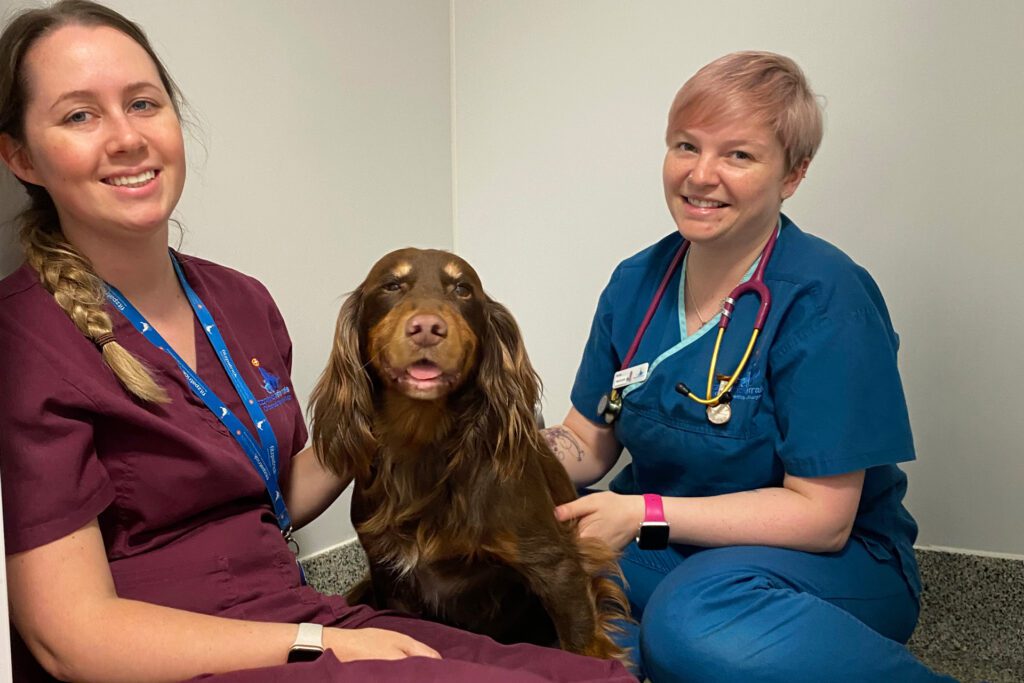Veterinary nurses sitting with a dog