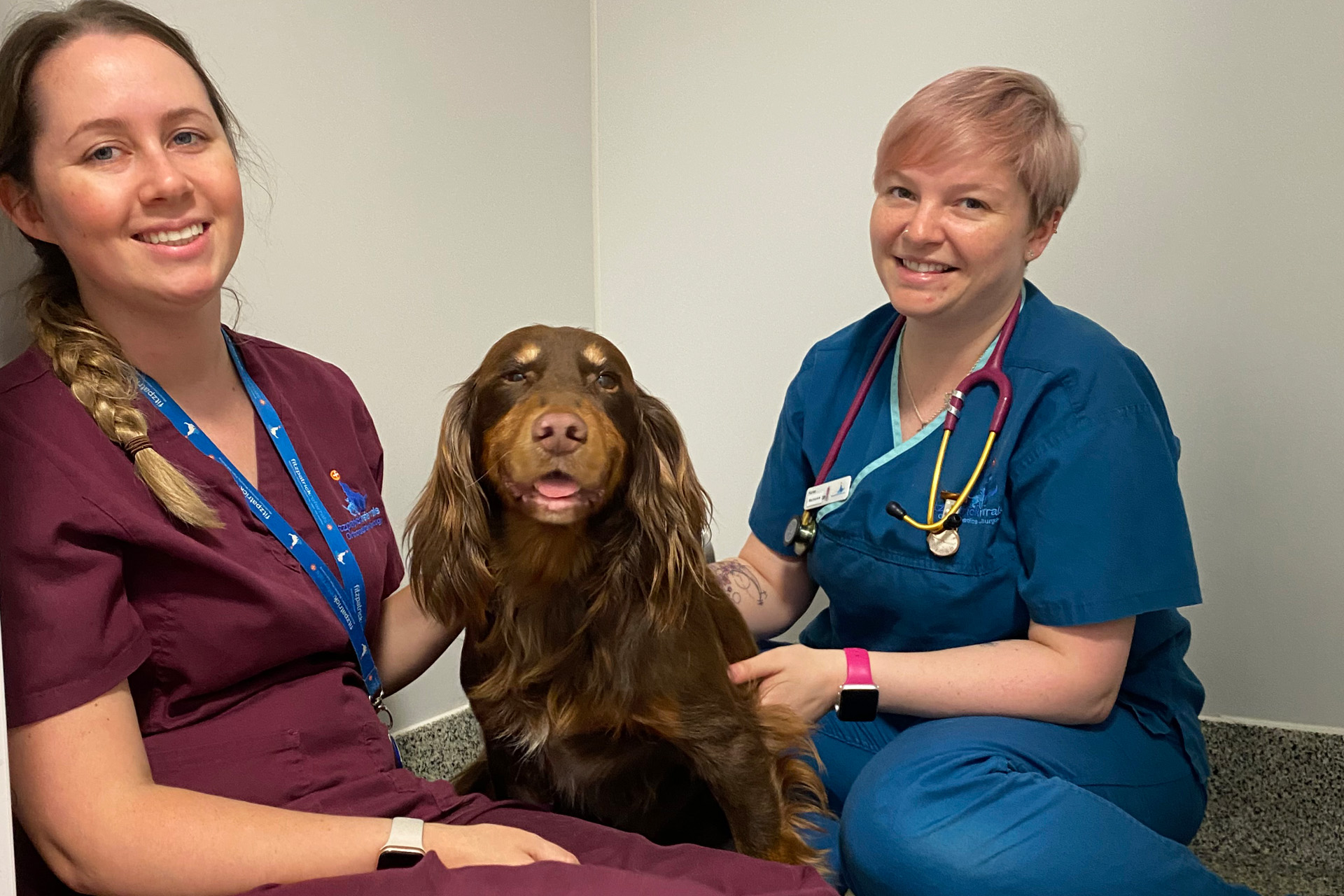 Q & A with Registered Veterinary Nurse Charlotte McKenna - 26 January ...