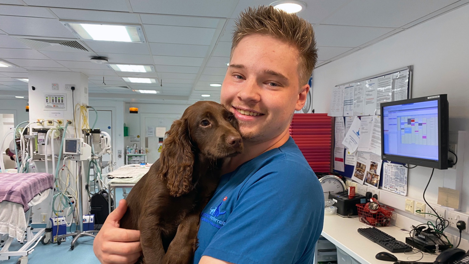 Registered Veterinary Nurse cuddling a brown cocker spaniel puppy