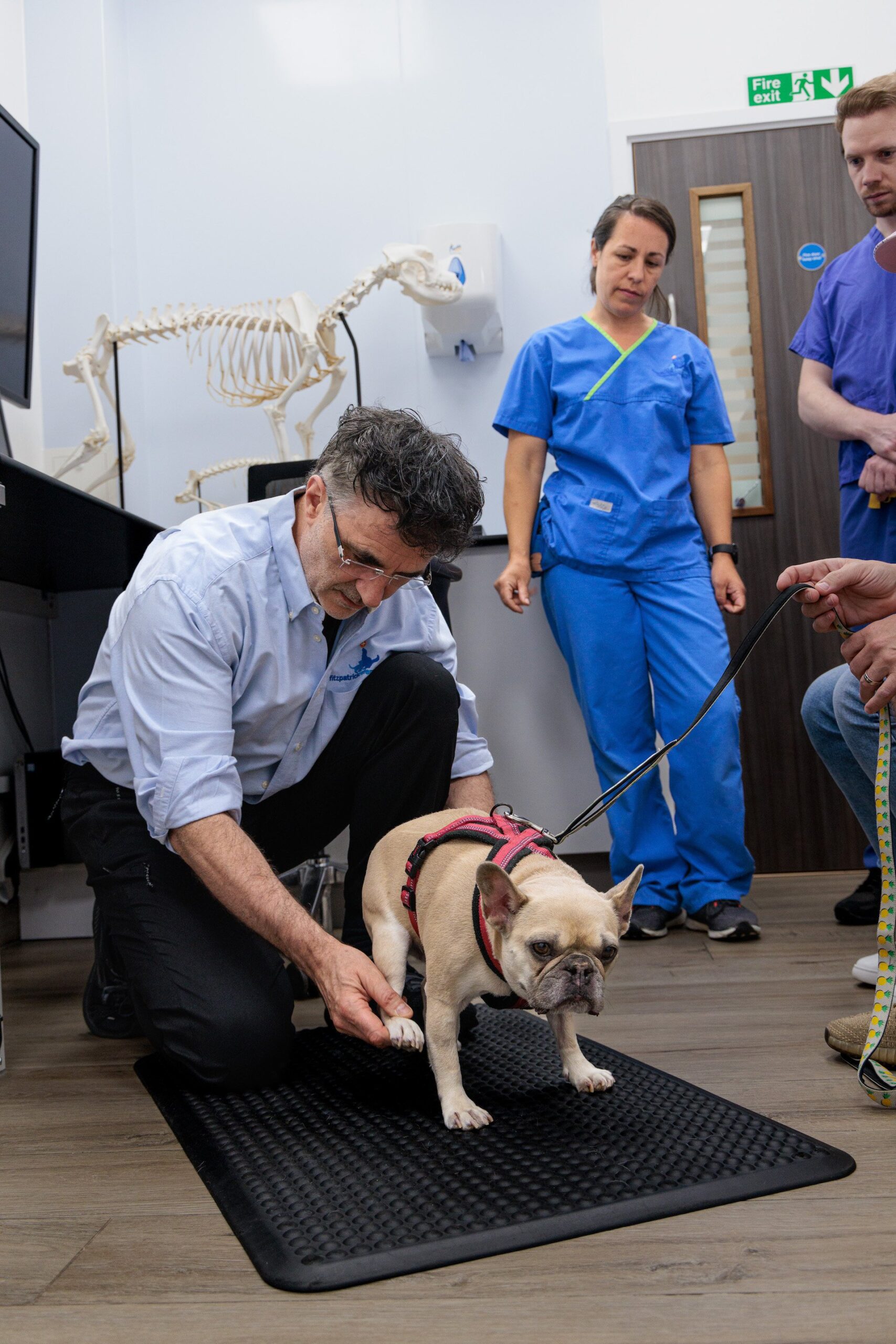 Noel Fitzpatrick in action