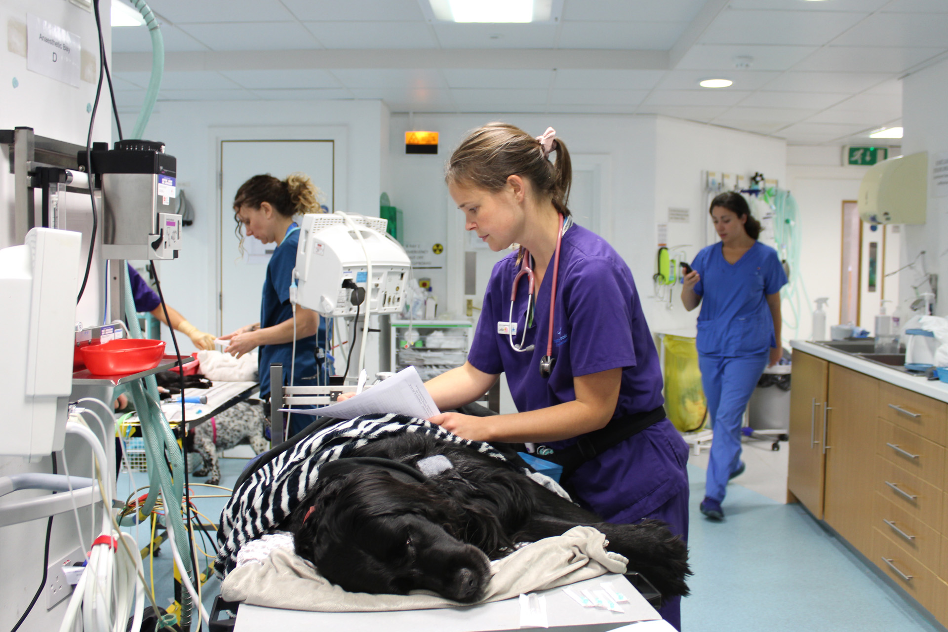 Senior Anaesthesia Nurse Lottie with patient