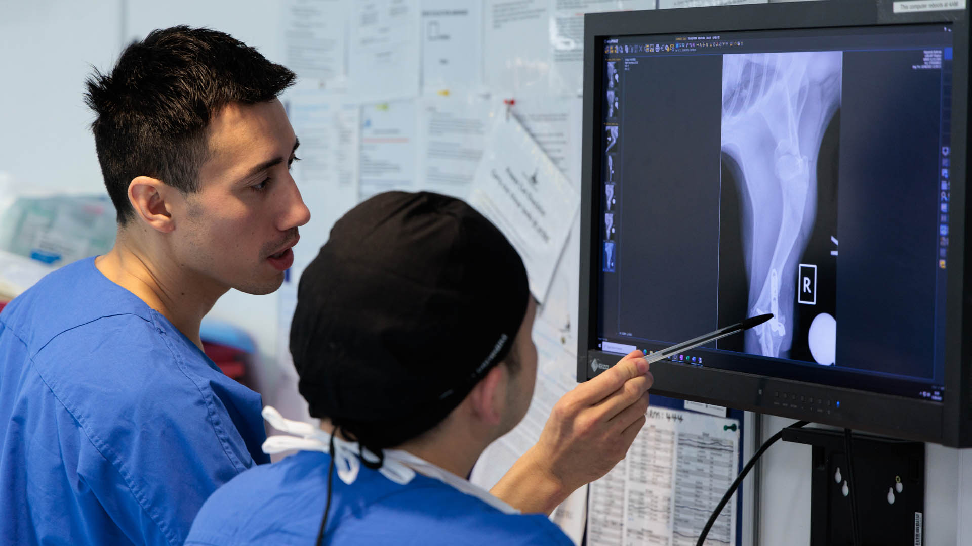 Surgeon reviewing radiograph with intern