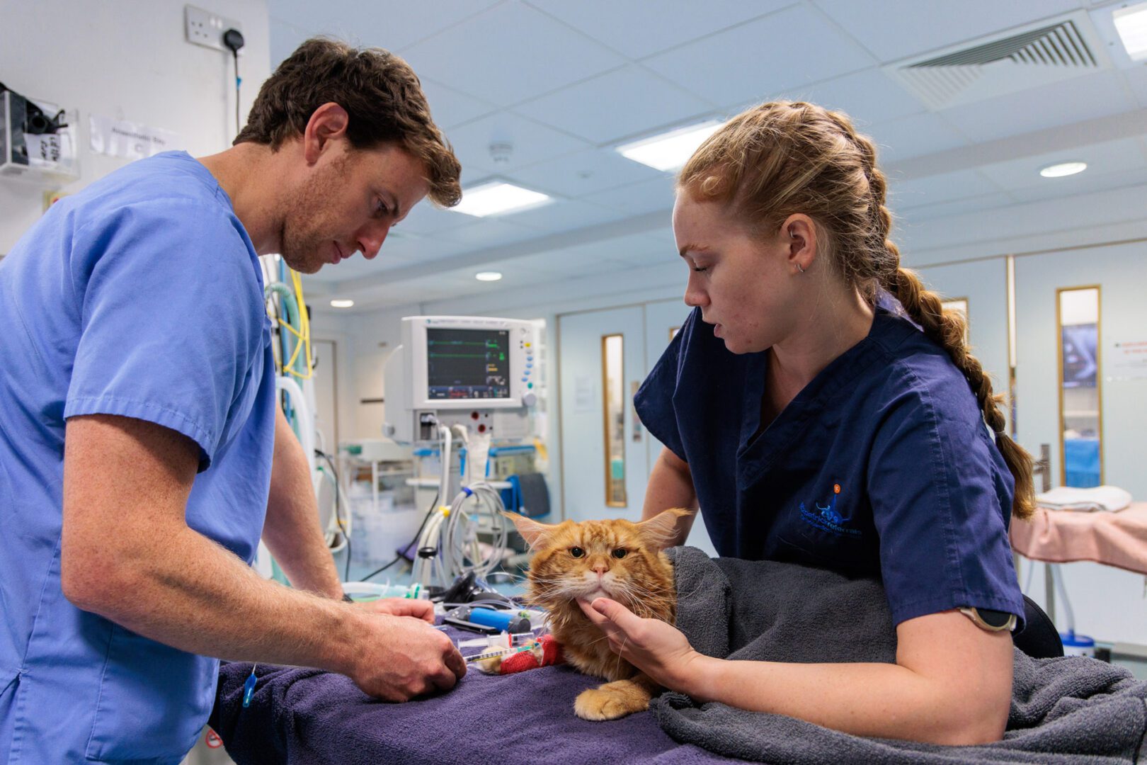 Clinical Nurse Leads Fitzpatrick Referrals