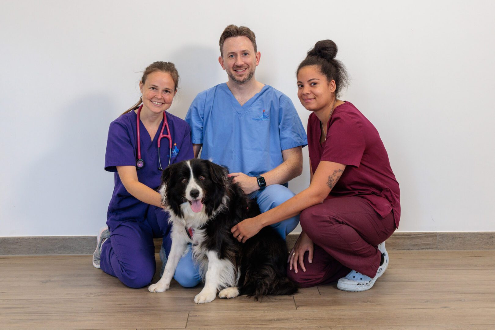 Fitzpatrick Referrals veterinary professionals kneeling with dog