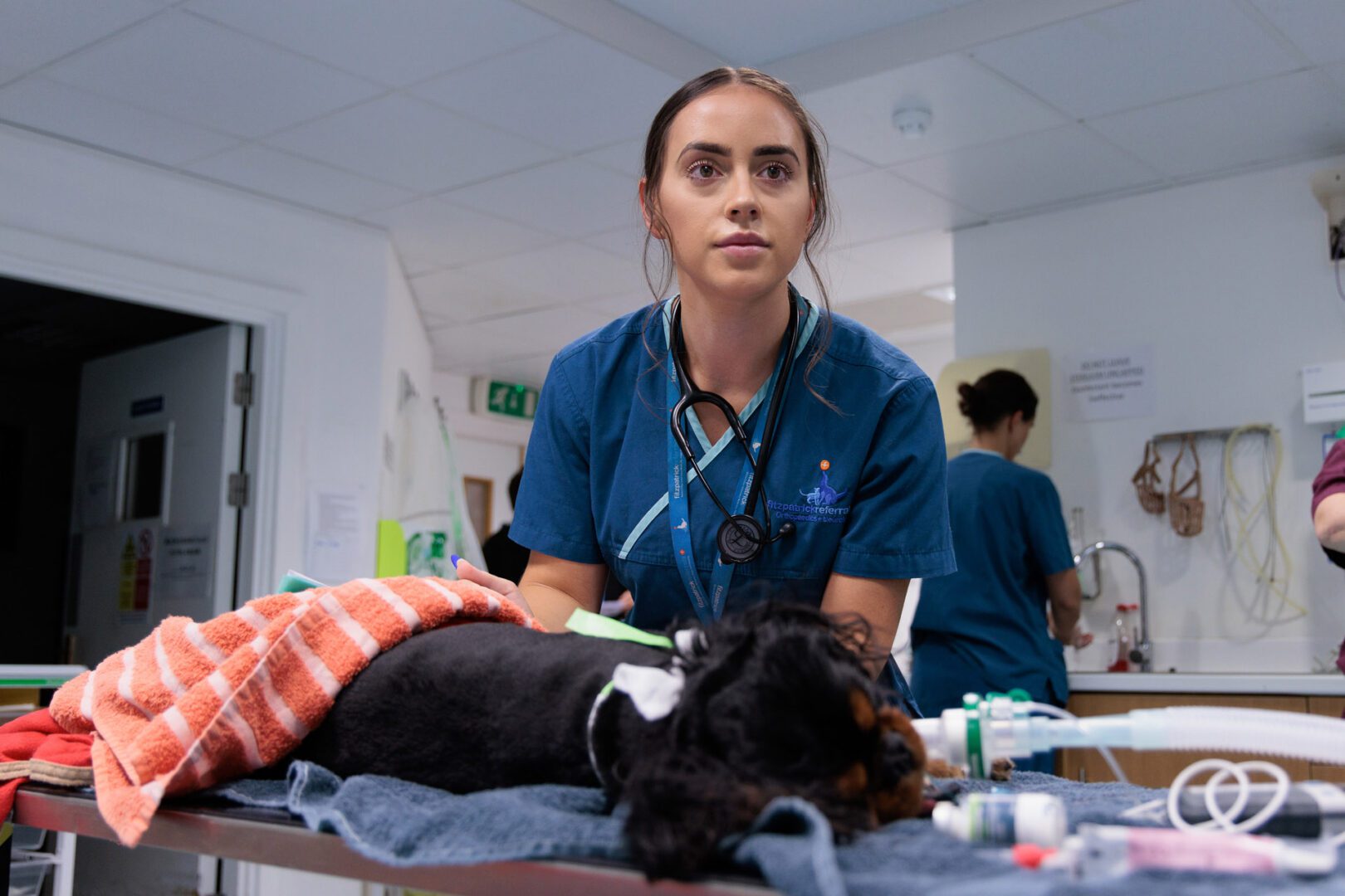 Registered Veterinary Nurse monitoring a canine patient