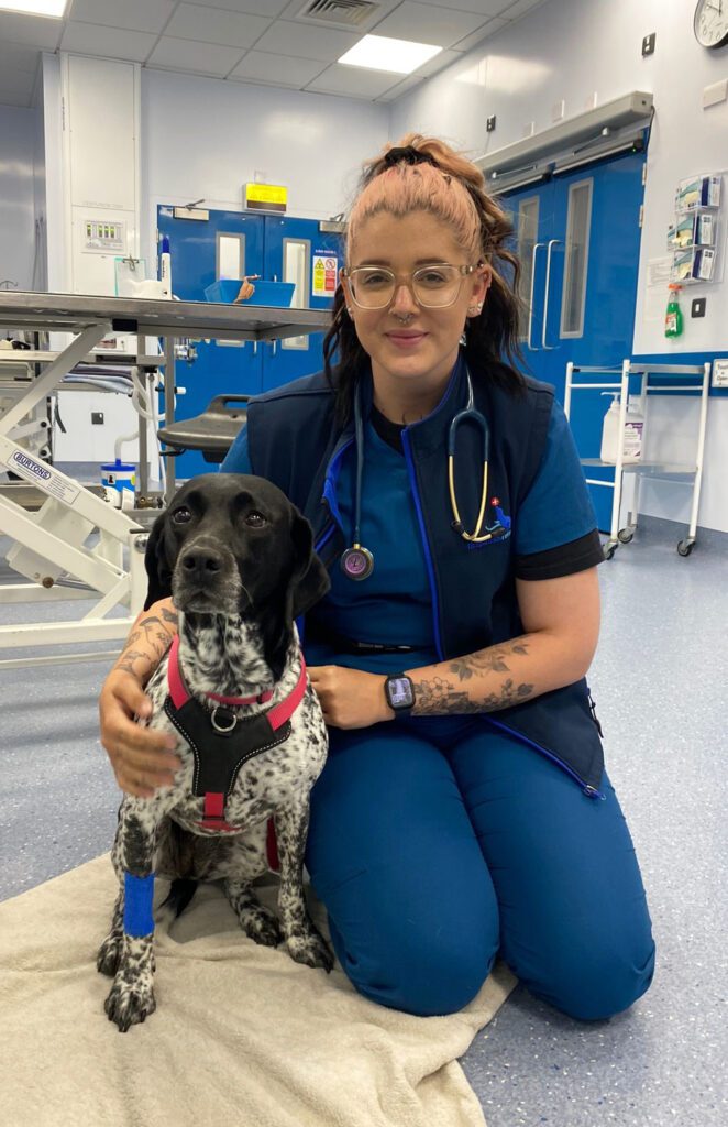 Advanced Orthopaedic Nurse comforting a dog at Fitzpatrick Referrals vet hospital
