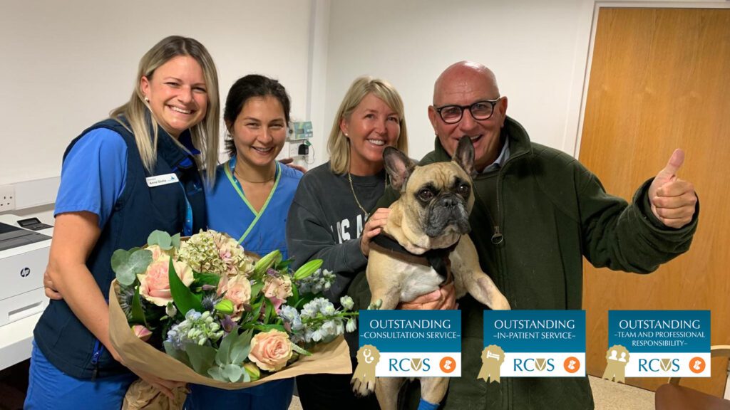 Family holding their French Bulldog with his veterinary team