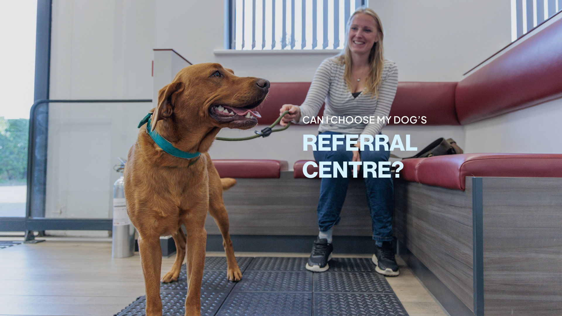 dog and client waiting at vets