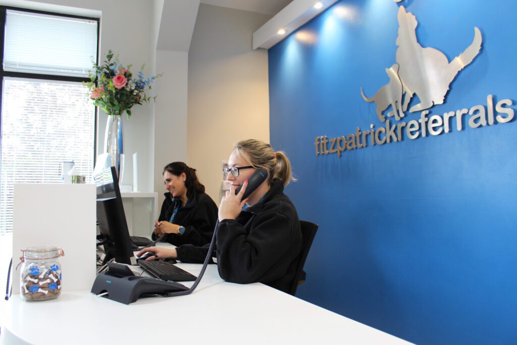 Receptionists answering phone calls at Fitzpatrick Referrals