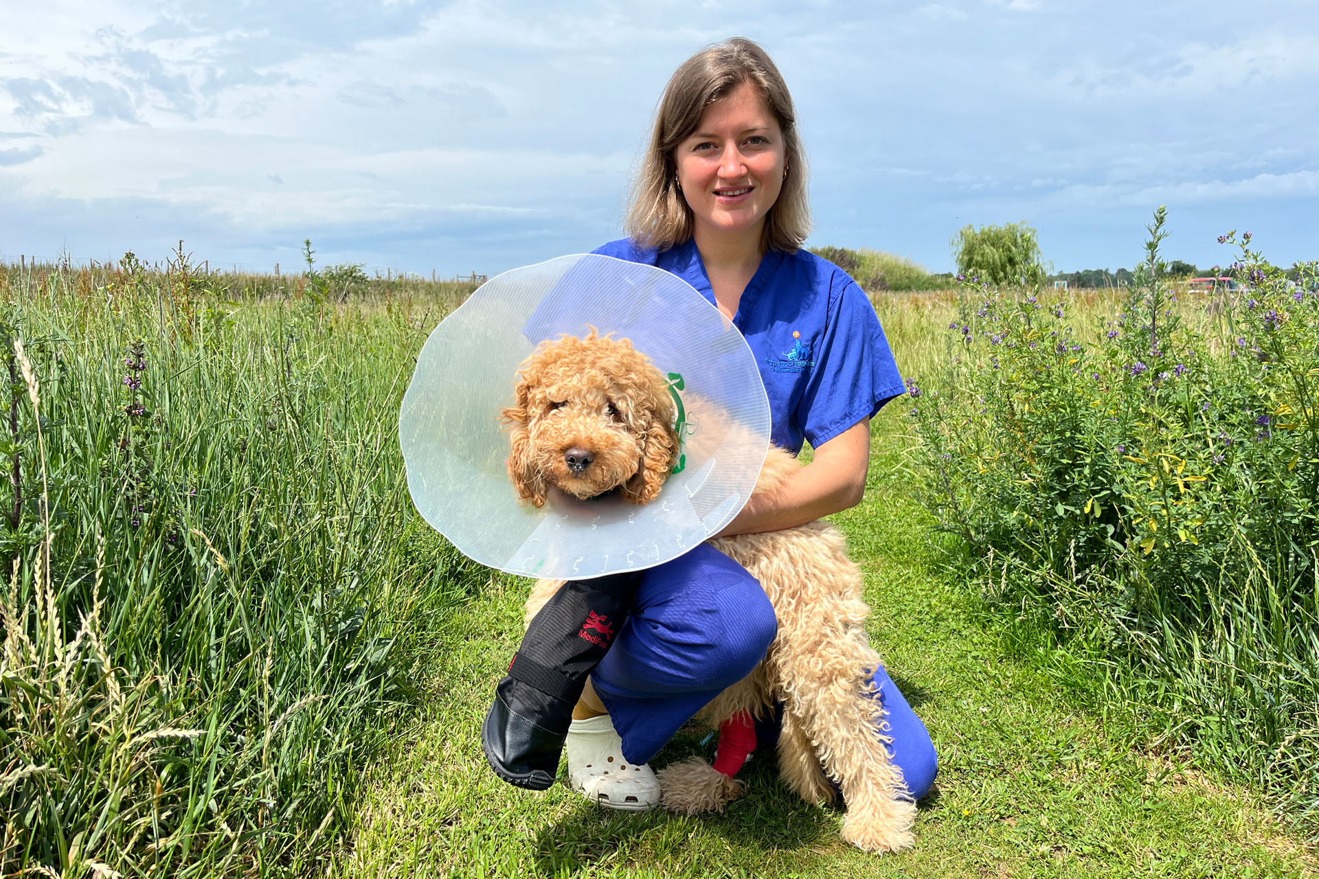 Veterinary surgeon holding a 4-month-old cockapoo puppy wearing a cone in a grass field