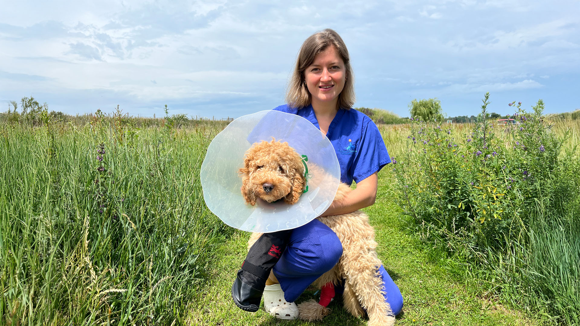 Veterinary surgeon holding a 4-month-old cockapoo puppy wearing a cone in a grass field