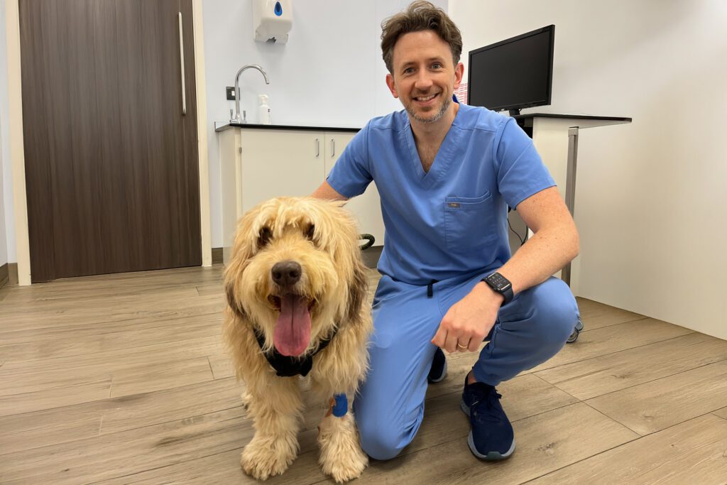 Sid and James edited AI web 1920x1280 2 Senior Orthopaedic Surgeon Dr James Guthrie in consultation with dog following stem cell therapy