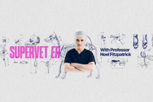 Professor Noel Fitzpatrick - Supervet ER series graphic