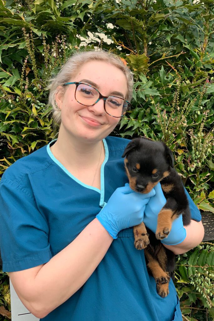 Student Vet Nurse holding 4 week old Rottweiler puppy