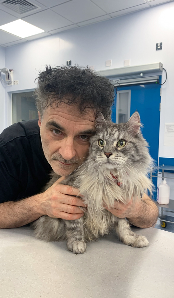 Professor Noel Fitzpatrick with a Maine coon cat patient