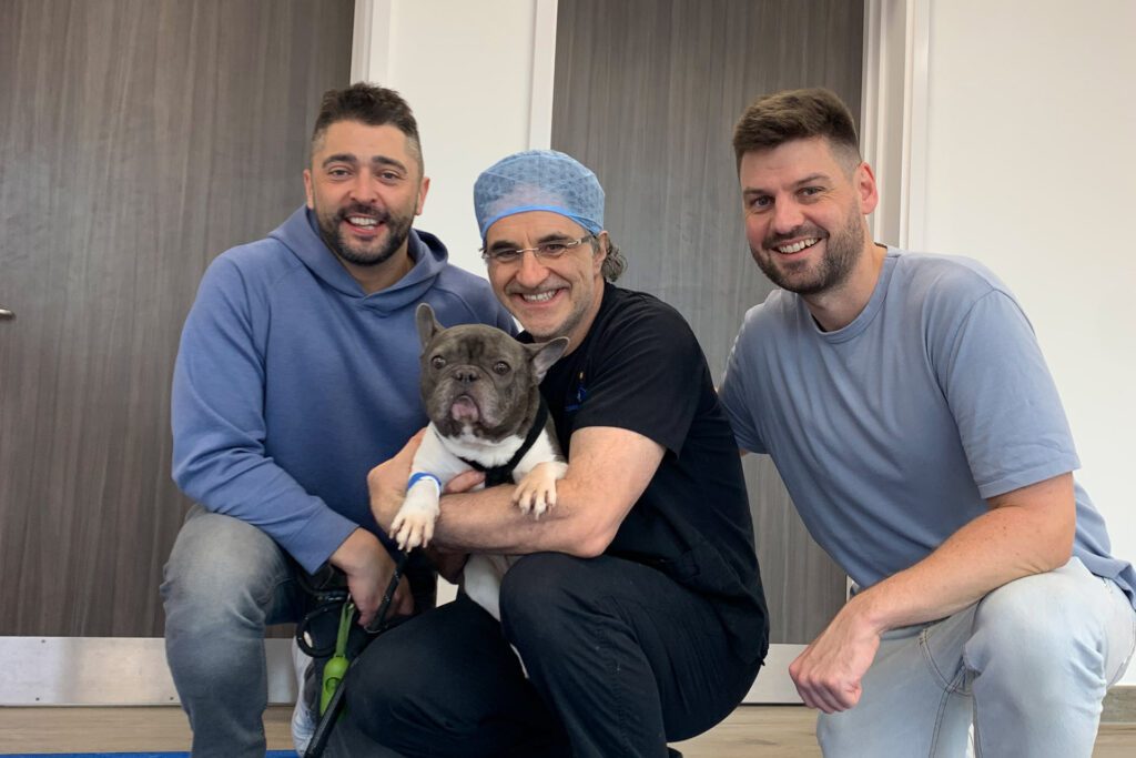 Professor Noel Fitzpatrick holding a French bulldog alongside his two owners in reception at Fitzpatrick Referrals