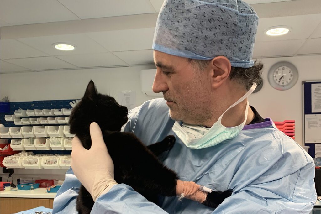 Vet Professor Noel Fitzpatrick holding black cat patient