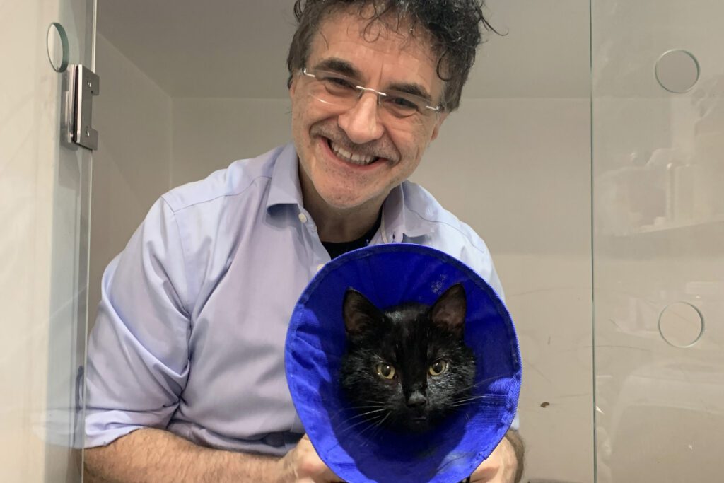 Vet Professor Noel Fitzpatrick holding black cat wearing a blue cone in the wards