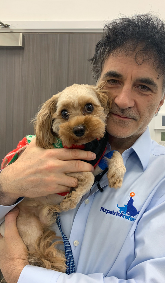 Professor Noel Fitzpatrick holding a cross breed dog