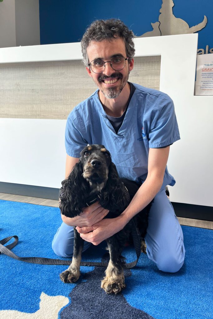 Neurologist Dr Marc Pérez Soteras pictured sitting with a cocker spaniel patient