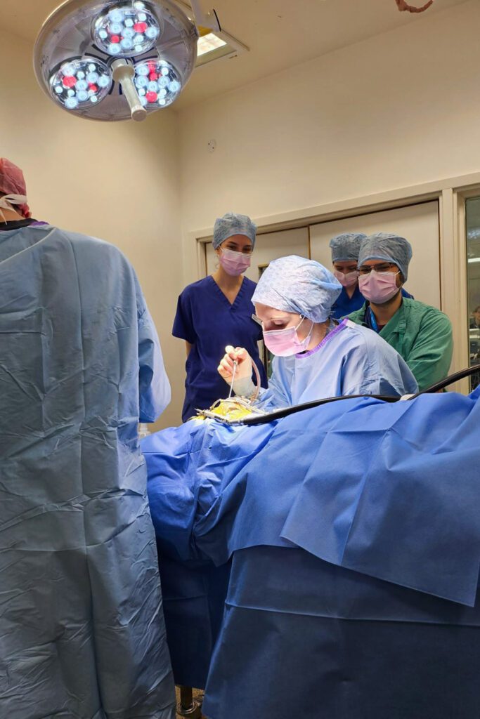 Neurology Resident Dr Sara Peverelli assisting with brain surgery on a dog.